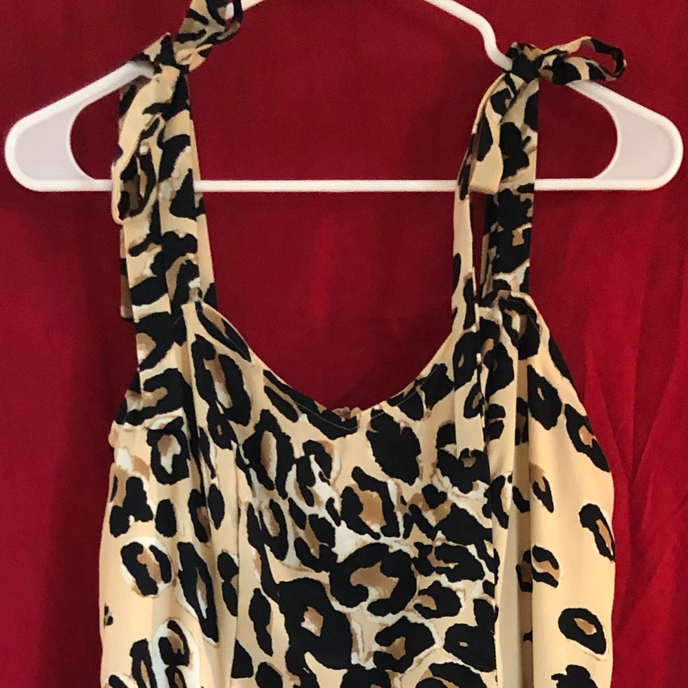 Elegant Cheetah